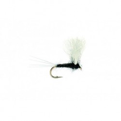 Black Gnat Polywing