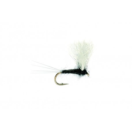 Black Gnat Polywing
