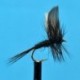 Black Gnat