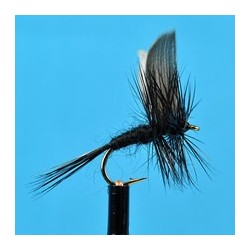 Black Gnat