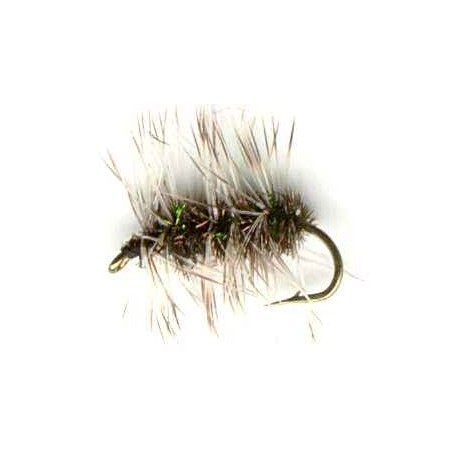 Black Griffiths Gnat
