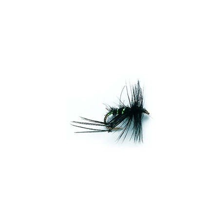 Black Hopper
