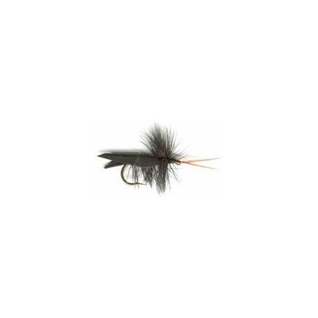 Black Horned Caddis