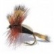 Black Humpy