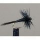 Black Midge