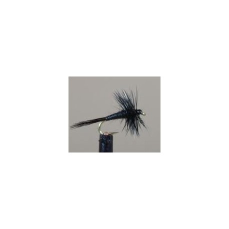 Black Midge