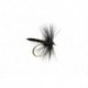 Black Palamino