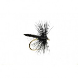 Black Palamino