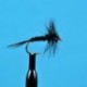 Black Quill