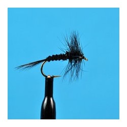 Black Quill