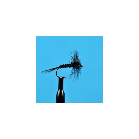 Black Quill