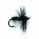Black Spider