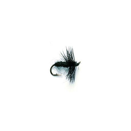 Black Spider
