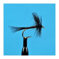 Black Variant