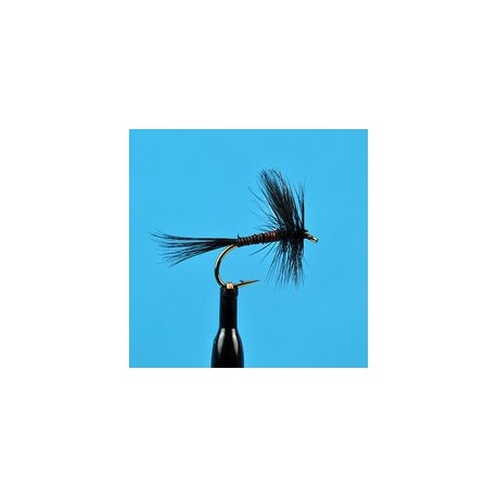 Black Variant