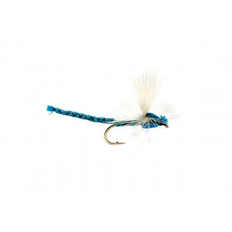 Blue Damsel