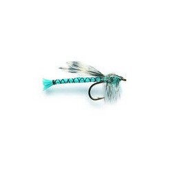 Blue Damselfly