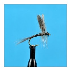 Blue Quill