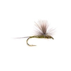Blue Wing Olive Parachute
