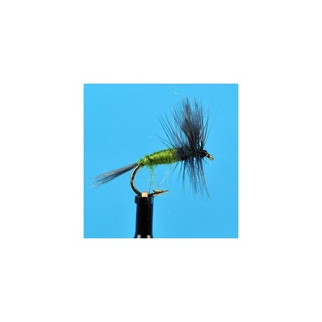Blue Wing Olive