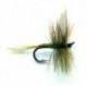 Blue Winged Olive