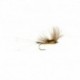 Blue Winged Olive CDC
