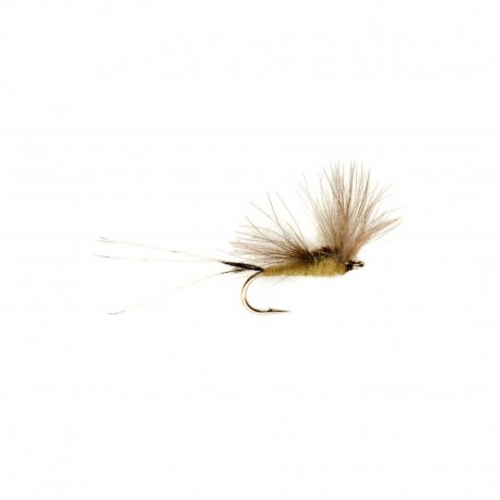 Blue Winged Olive CDC