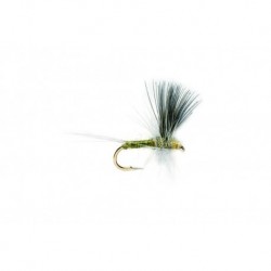 Blue Winged Olive Thorax