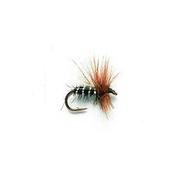 Bob S Bits Black