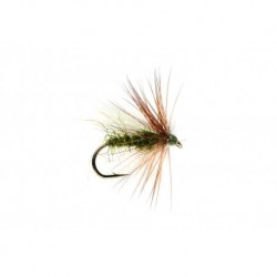 Bob's Bits Olive