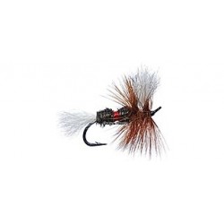 Bomber Royal Wullf