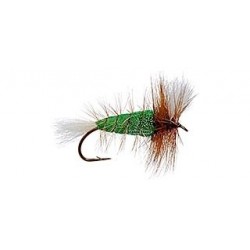 Bomber Green