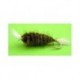 Bomber Olive