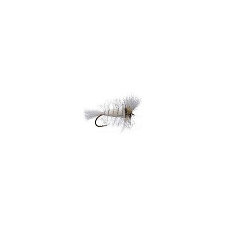 Bomber White