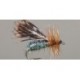 Brachycentrus Caddis Adult