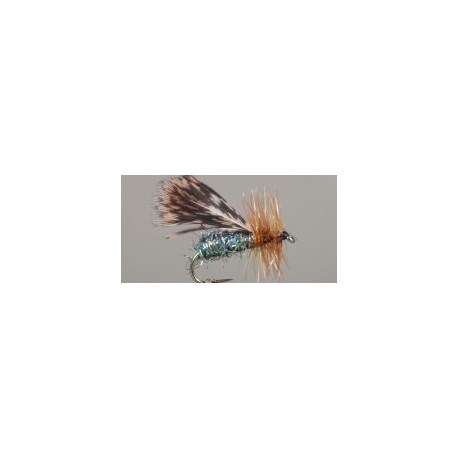 Brachycentrus Caddis Adult