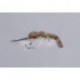 Clousers Dark Tan Crayfish