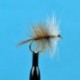 Brown Bivisible