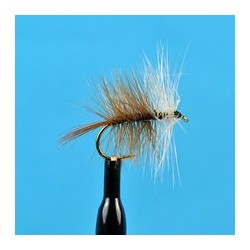 Brown Bivisible