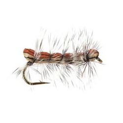 Brown Caterpillar