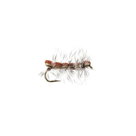 Brown Caterpillar
