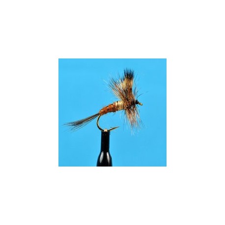 Brown Drake