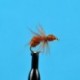 Brown Flying Ant