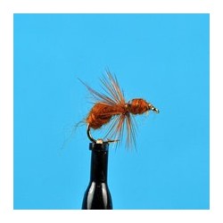 Brown Flying Ant