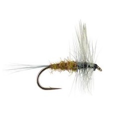 Brown Olive Dun