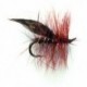 Brown Sedge