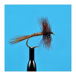 Brown Variant