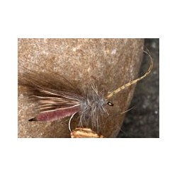 BrownCDCsedge