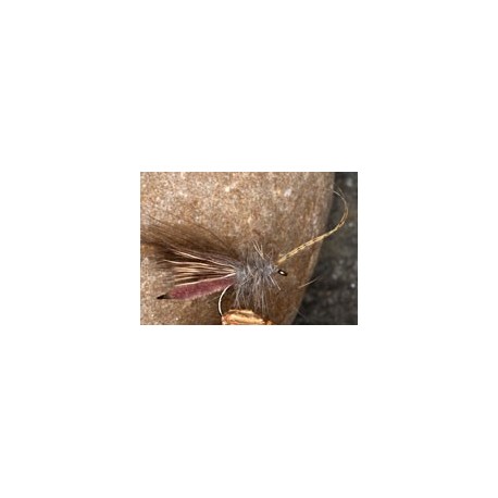 BrownCDCsedge