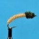 Buckskin Caddis